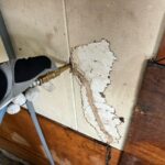 夏場は羽アリが多くなる季節です。